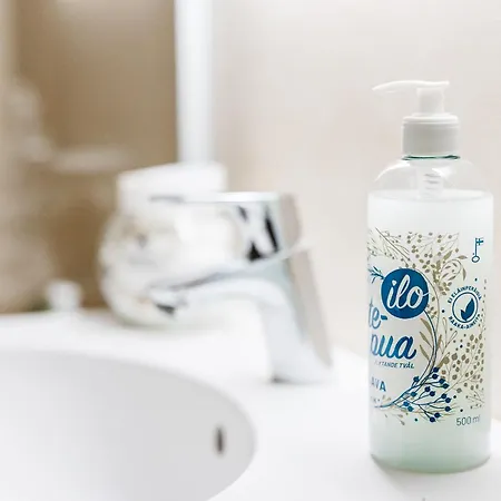 Santa's Aurora Wonderland