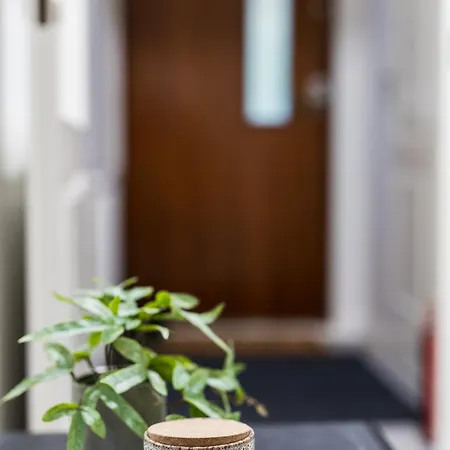 Santa's Aurora Wonderland