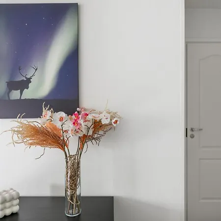 Vakantiehuis Santa's Aurora Wonderland *