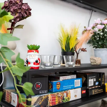 Santa's Aurora Wonderland