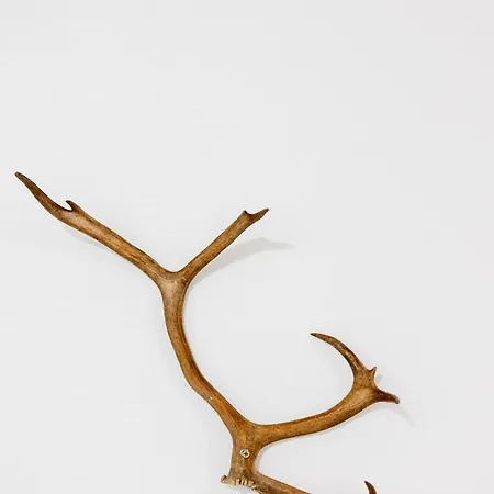 Santa's Aurora Wonderland Rovaniemi