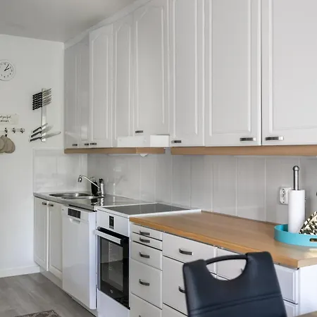 Santa's Aurora Wonderland