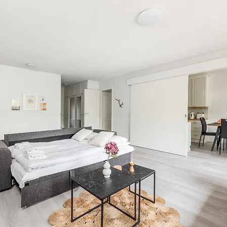 Santa's Aurora Wonderland Vakantiehuis *