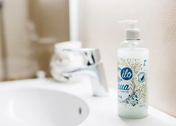 Santa's Aurora Wonderland