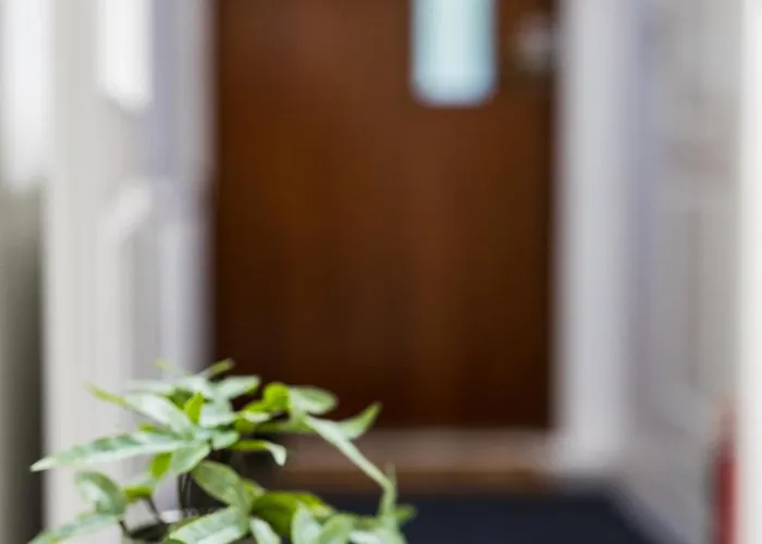 Santa's Aurora Wonderland