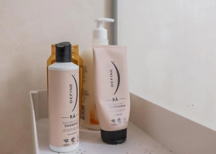 Santa's Aurora Wonderland *