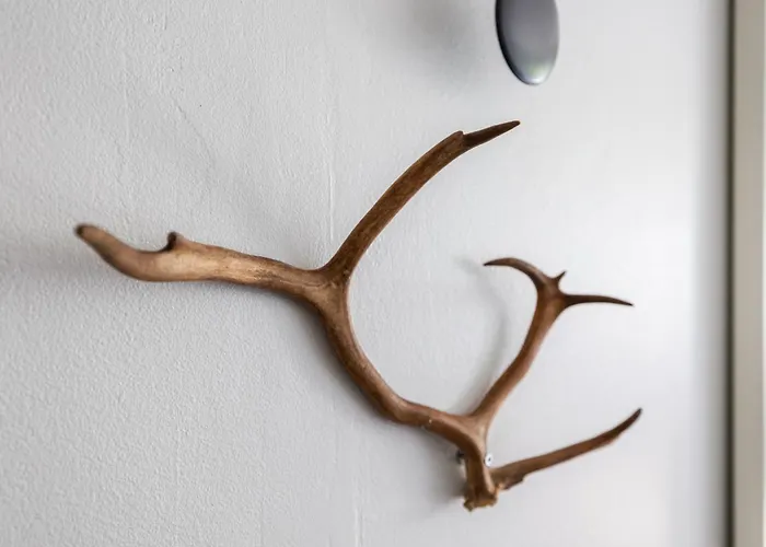 Santa's Aurora Wonderland * Ροβανιέμι