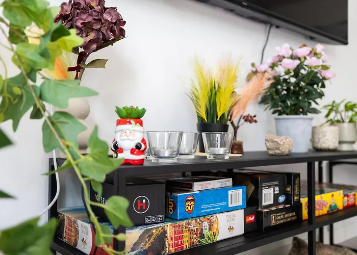 Santa's Aurora Wonderland