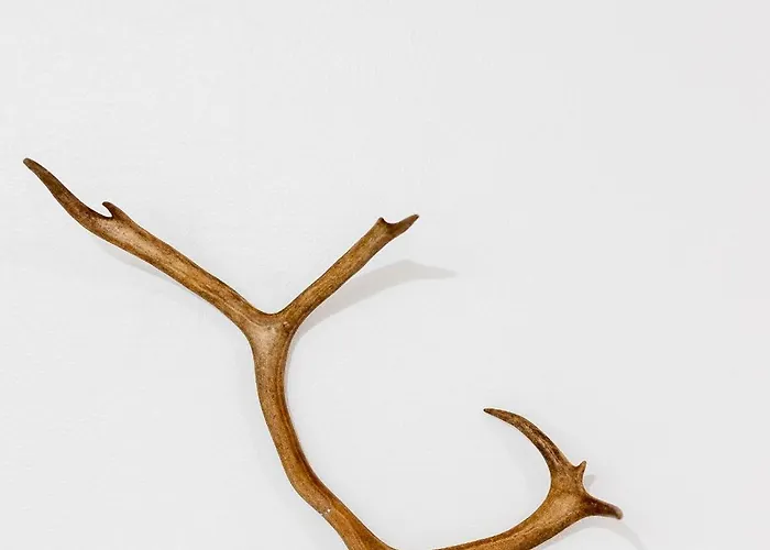 Santa's Aurora Wonderland Ροβανιέμι