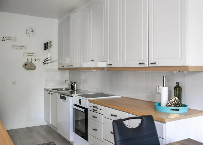 Santa's Aurora Wonderland